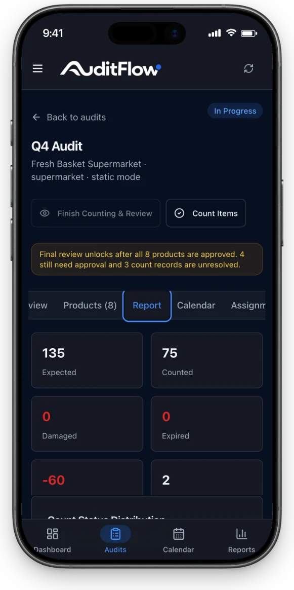 AuditFlow report dark iPhone mockup