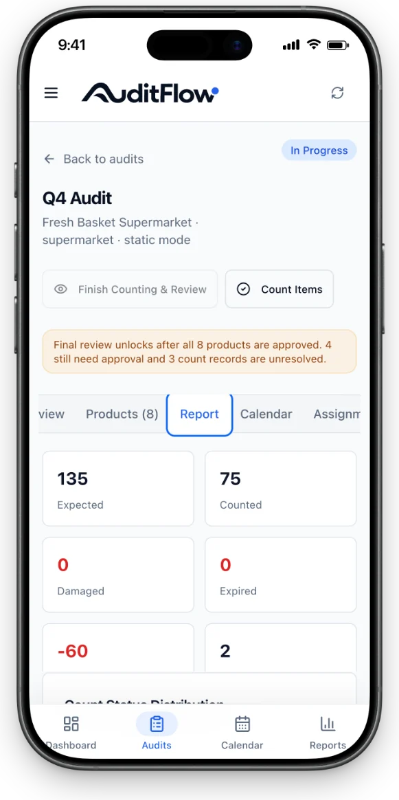 AuditFlow report light iPhone mockup